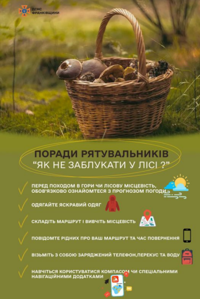 ДСНС на Прикарпатті врятувала заблукалу в лісі жінку й виявила тіло чоловіка без ознак життя 3