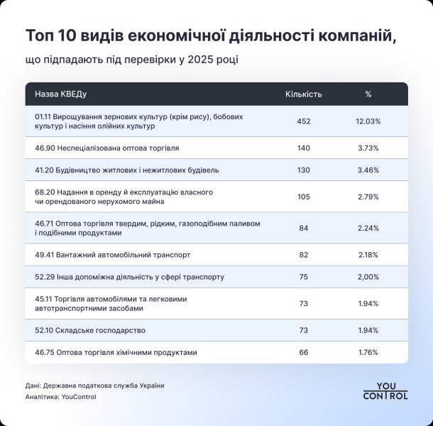 Податкові перевірки 2025: кого перевірятимуть і як підготуватися 2