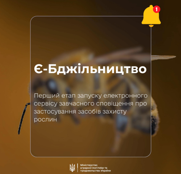 Мінагрополітики запустило електронну систему Є-Бджільництво для аграріїв і пасічників - що змінює сервіс 3