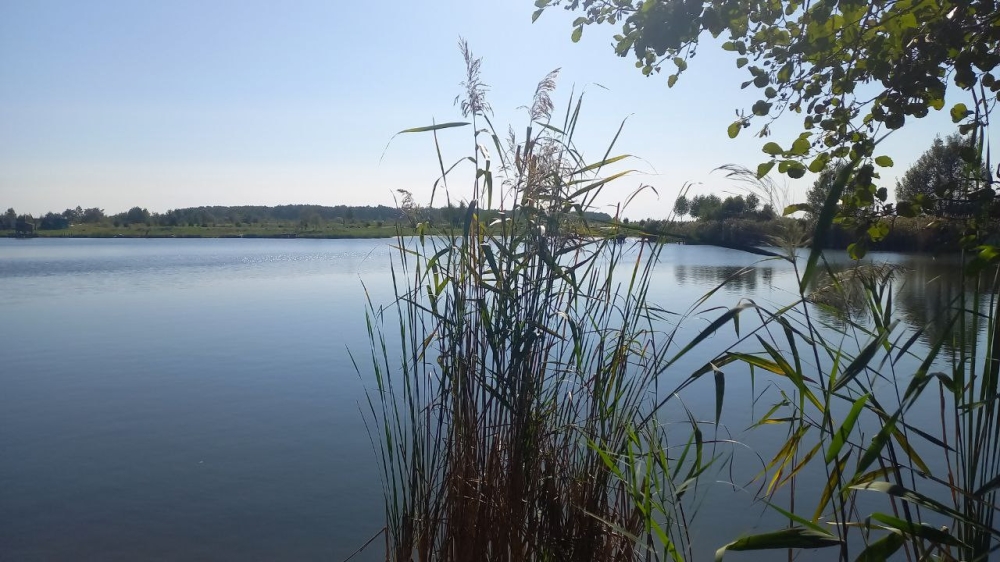 ВР може ухвалити законопроєкт, за яким особи, які нечесно заволоділи землею, зможуть її узаконити, - голова ГО "Українська природоохоронна група" 1