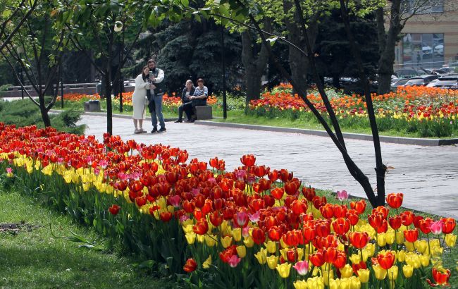 Оксана Продан закликала ветувати закон, який легалізує корупцію в земельній сфері 1