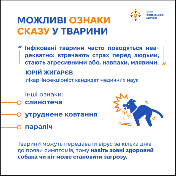 Сказ через укус тварини без лікування призводить до смерті - що робити, ознаки вірусу і способи передачі 3