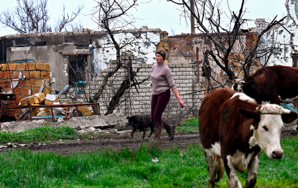 Сказ через укус тварини без лікування призводить до смерті - що робити, ознаки вірусу і способи передачі 6