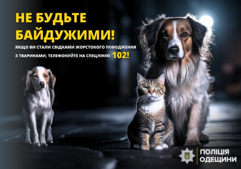 Собаку в Одеській області застрелив чоловік з гвинтівки - що відомо, жорстоке поводження з тваринами 2