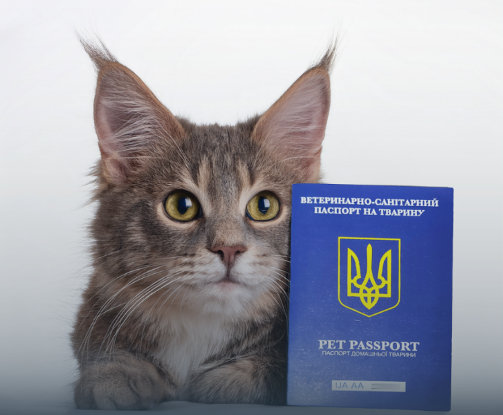 Ветеринарний паспорт міжнародного зразка для кота, собаки чи іншої тварини - де отримати, що потрібно 2