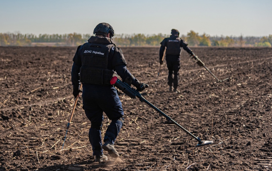 Вплив війни на довкілля - академік Яків Дідух в інтерв’ю РБК-Україна про наслідки для природи 8