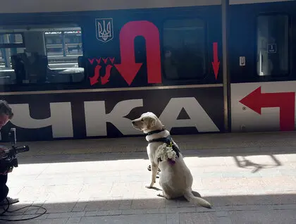 Барбара Крюгер створила інсталяцію на поїзді Інтерсіті – фото Барбара Крюгер створила інсталяцію на поїзді Інтерсіті – фото 2