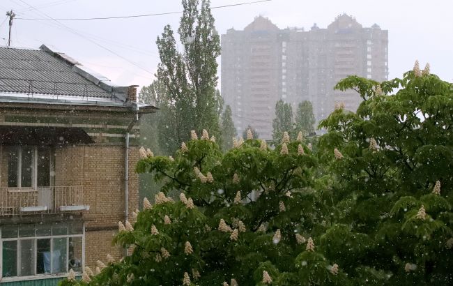 Блискавка влучила в будинок в Києві - з'явилося відео, що відомо 1