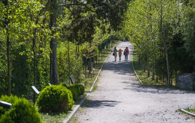 Ботанічний сад Гришка збудували на місці єврейського кладовища - цікаві факти 1
