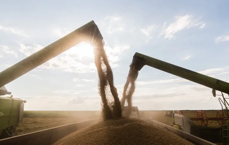 Експорт української агропродукції скорочується майже щомісяця 1