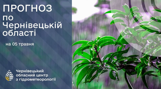 Негода у Чернівецькій області залишила без світла села і міста - наслідки грози і вітру, погода сьогодні 5