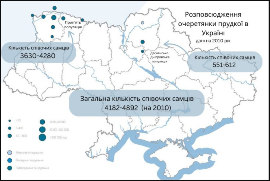 Охорона птахів в Україні рятує вид очеретянка прудка від зникнення - що відомо, міжнародний проект 7