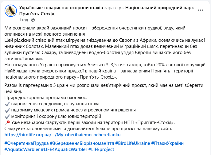 Охорона птахів в Україні рятує вид очеретянка прудка від зникнення - що відомо, міжнародний проект 4