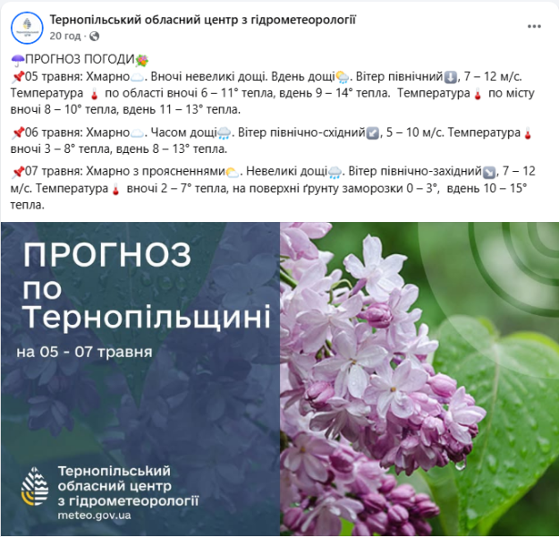 Погода в Тернопільській області принесла зливи, грози, град і вітер - наслідки негоди, фото ДСНС, прогноз 7