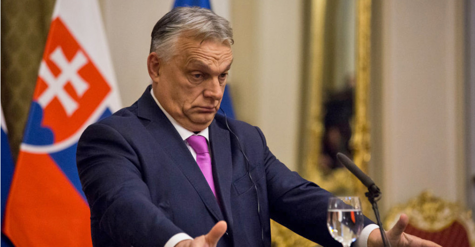 ЄС не вистачає рішучості захищати власні принципи: Іонова про Угорщину 1