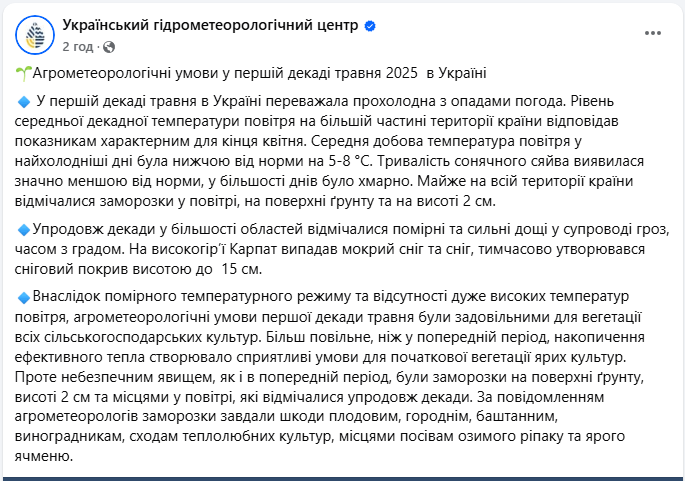 Заморозки в травні 2025 в Україні частково знищили врожай - які рослини постраждали 3