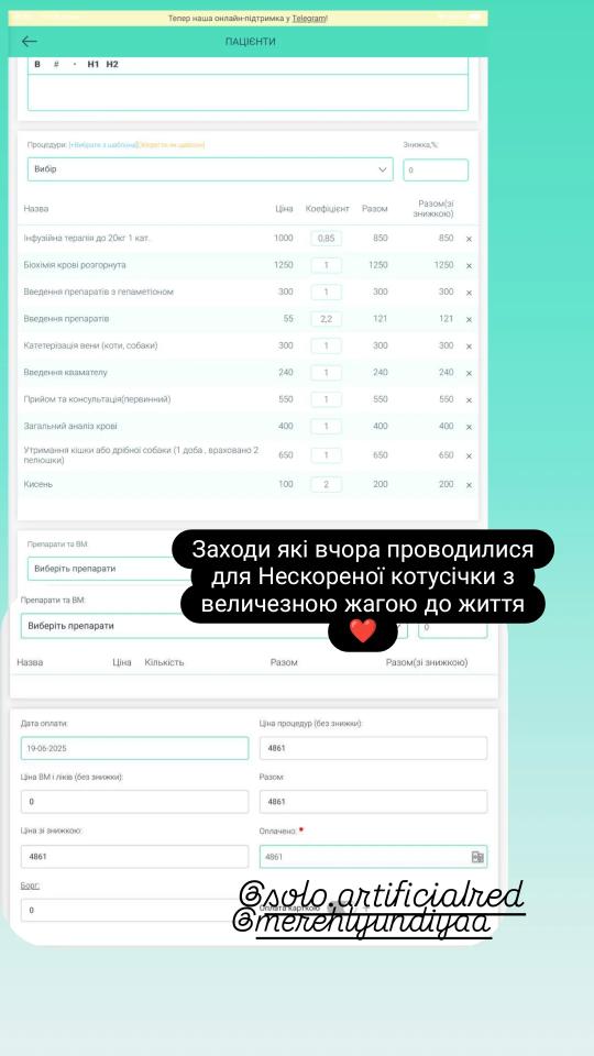 Кота знайшли під завалами будинку в Києві після атаки Росії 17 червня - деталі 4