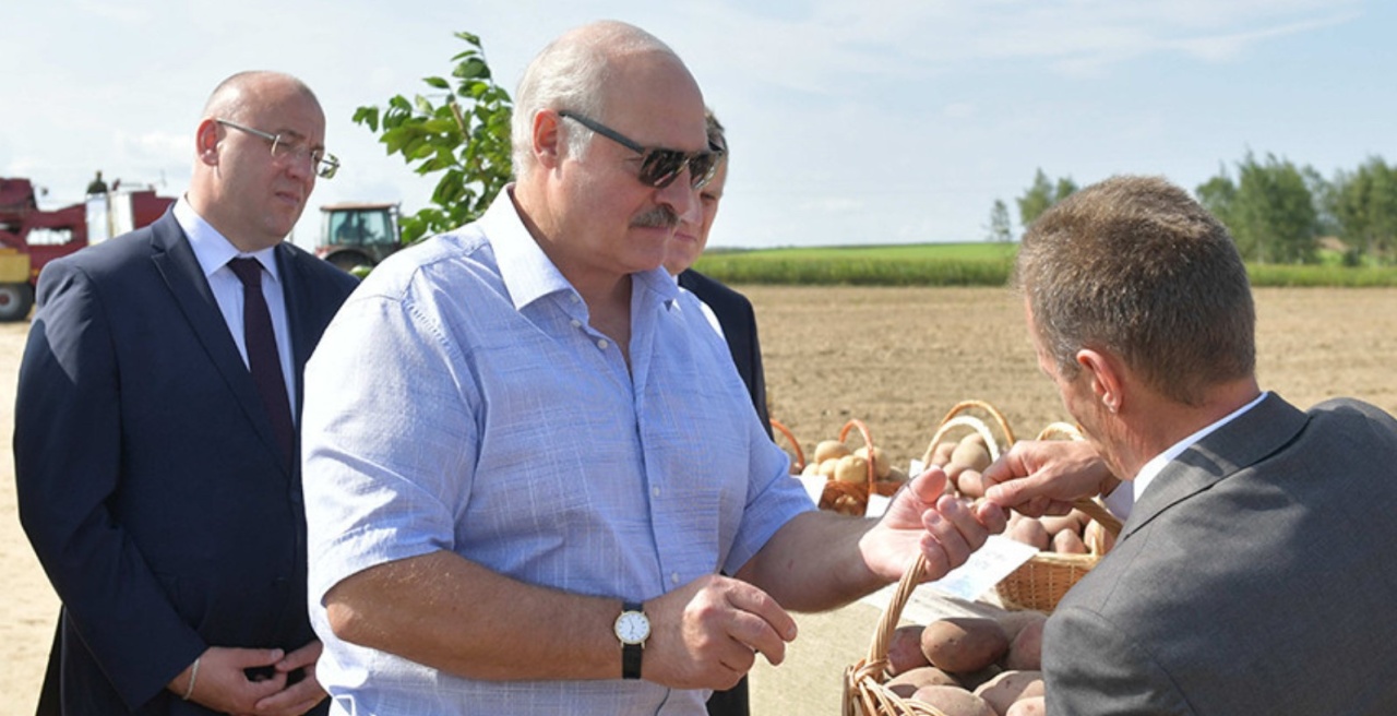 Лукашенко сказав білорусам їсти менше картоплі 1