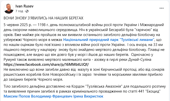 Морська екосистема в Одеській області гине через війну і мазут з танкерів РФ - Тузлівські лимани 6