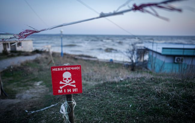 Наслідки війни для Чорного моря - що буде з рибою і дельфінами 1