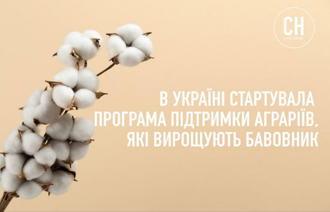 Підтримка аграріїв і фермерів України за бавовник 2025 - як подати заявку на 10 тисяч за гектар, ДАР 3