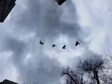 Польсько-український артпроєкт Різні місця стартував у Києві - фото Польсько-український артпроєкт Різні місця стартував у Києві - фото 48