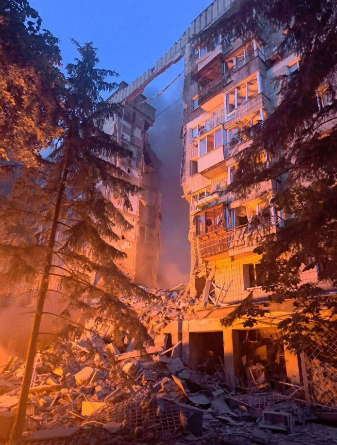 Собака врятувала хлопця під час масованої атаки РФ на Київ 17 червня - що відомо, фото 4