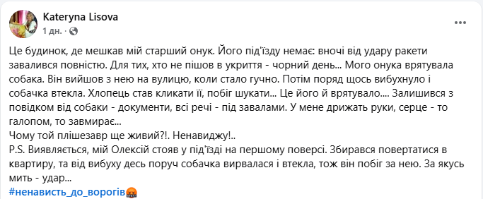 Собака врятувала хлопця під час масованої атаки РФ на Київ 17 червня - що відомо, фото 3