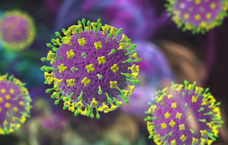 У Китаї виявили небезпечні віруси Nipah і Hendra - смертність до 70% 1