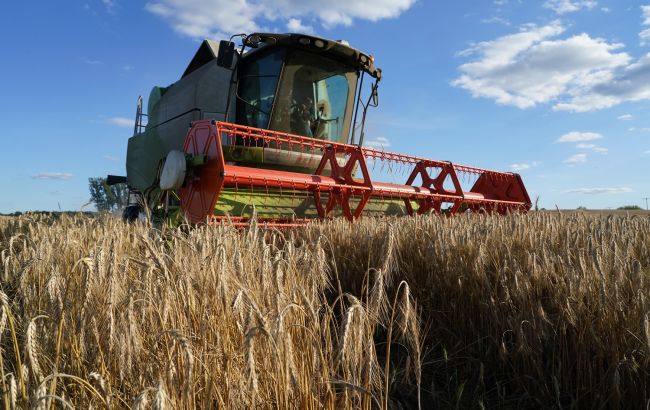 Урожай зерна в Україні у 2025 році може скоротитися на 10% 1