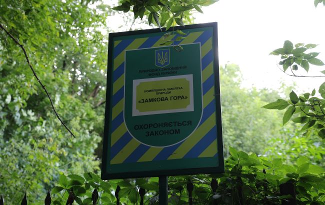 Замкова гора в Києві заросла чагарниками – чим унікальне місце і що робити 1