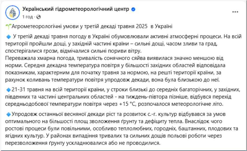 Зливи і град у травні 2025 в Україні вплинули на врожай - які рослини постраждали від негоди 3