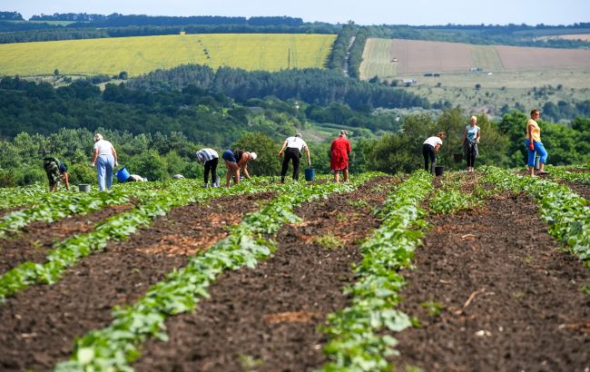 Зміни клімату для України можуть мати позитивні наслідки - заява науковиці 1
