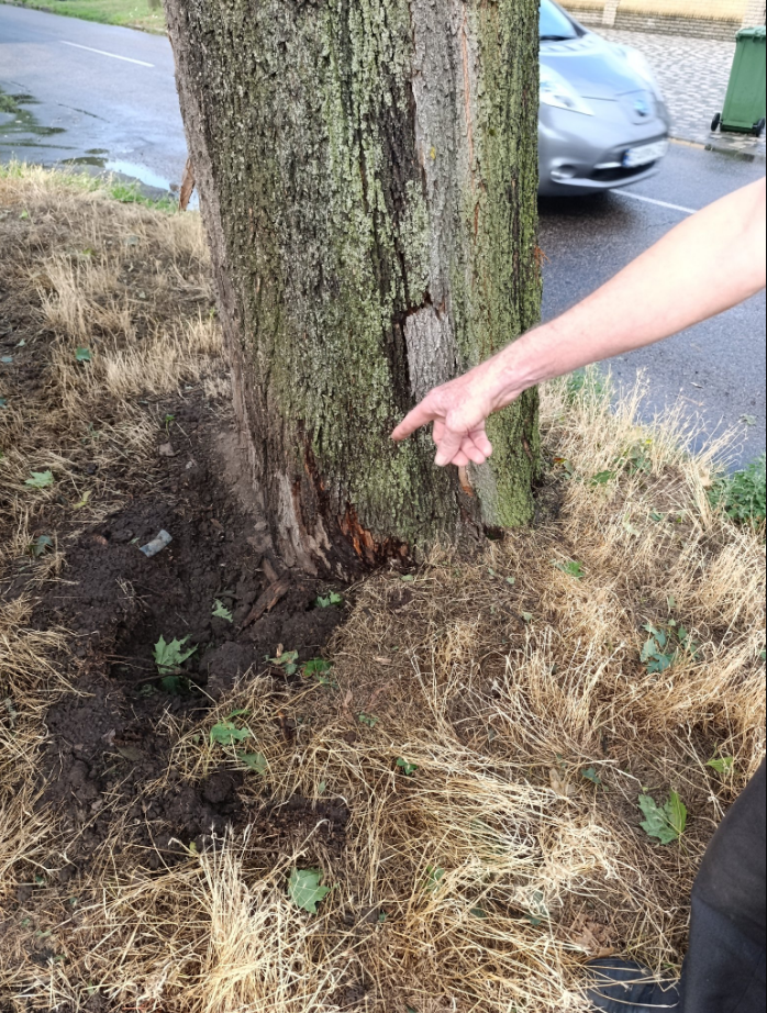 Блискавка влучила у водопровід у Черкасах і залишила людей без світла - наслідки негоди, фото 2