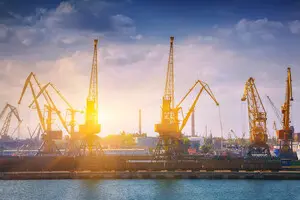 Картопля є нащадком томатів - нове дослідження розкриває її походження 2