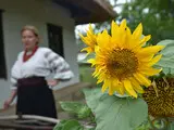 Маковій у Києві – святкування з медом маком та народними звичаями - фоторепортаж Маковій у Києві – святкування з медом маком та народними звичаями - фоторепортаж 23