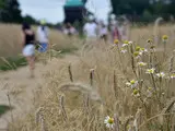 Маковій у Києві – святкування з медом маком та народними звичаями - фоторепортаж Маковій у Києві – святкування з медом маком та народними звичаями - фоторепортаж 21