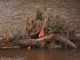 Повінь у Техасі - кількість жертв за ніч збільшилася вдвічі - фото Повінь у Техасі - кількість жертв за ніч збільшилася вдвічі - фото 9