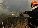 Пожежа в Греції 2025 - гасіння біля Коринфа ускладнює спека - фото Пожежа в Греції 2025 - гасіння біля Коринфа ускладнює спека - фото 25