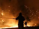 Пожежа в Східній Аттиці - сильний вітер ускладнив гасіння вогню - фото Пожежа в Східній Аттиці - сильний вітер ускладнив гасіння вогню - фото 9