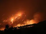 Пожежа в Східній Аттиці - сильний вітер ускладнив гасіння вогню - фото Пожежа в Східній Аттиці - сильний вітер ускладнив гасіння вогню - фото 7