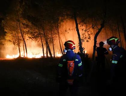 Пожежа в Східній Аттиці - сильний вітер ускладнив гасіння вогню - фото Пожежа в Східній Аттиці - сильний вітер ускладнив гасіння вогню - фото 5