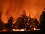 Пожежа в Східній Аттиці - сильний вітер ускладнив гасіння вогню - фото Пожежа в Східній Аттиці - сильний вітер ускладнив гасіння вогню - фото 6