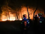 Пожежа в Східній Аттиці - сильний вітер ускладнив гасіння вогню - фото Пожежа в Східній Аттиці - сильний вітер ускладнив гасіння вогню - фото 10
