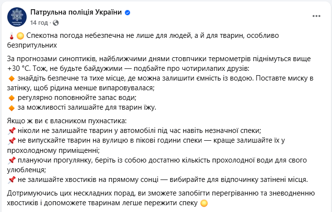 Спека в Україні небезпечна не лише для людей - як подбати про тварин влітку, поради поліції 5