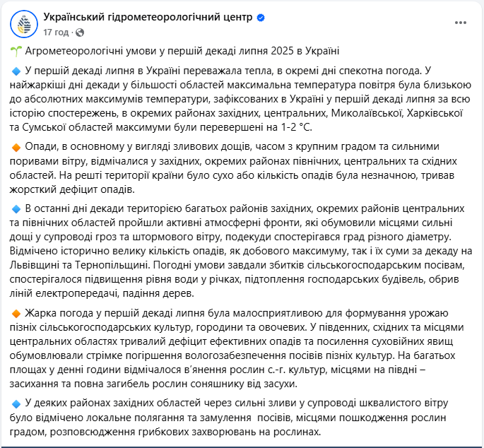 Спека, зливи і шквали у липні 2025 вплинули на врожай - які рослини постраждали від негоди 3