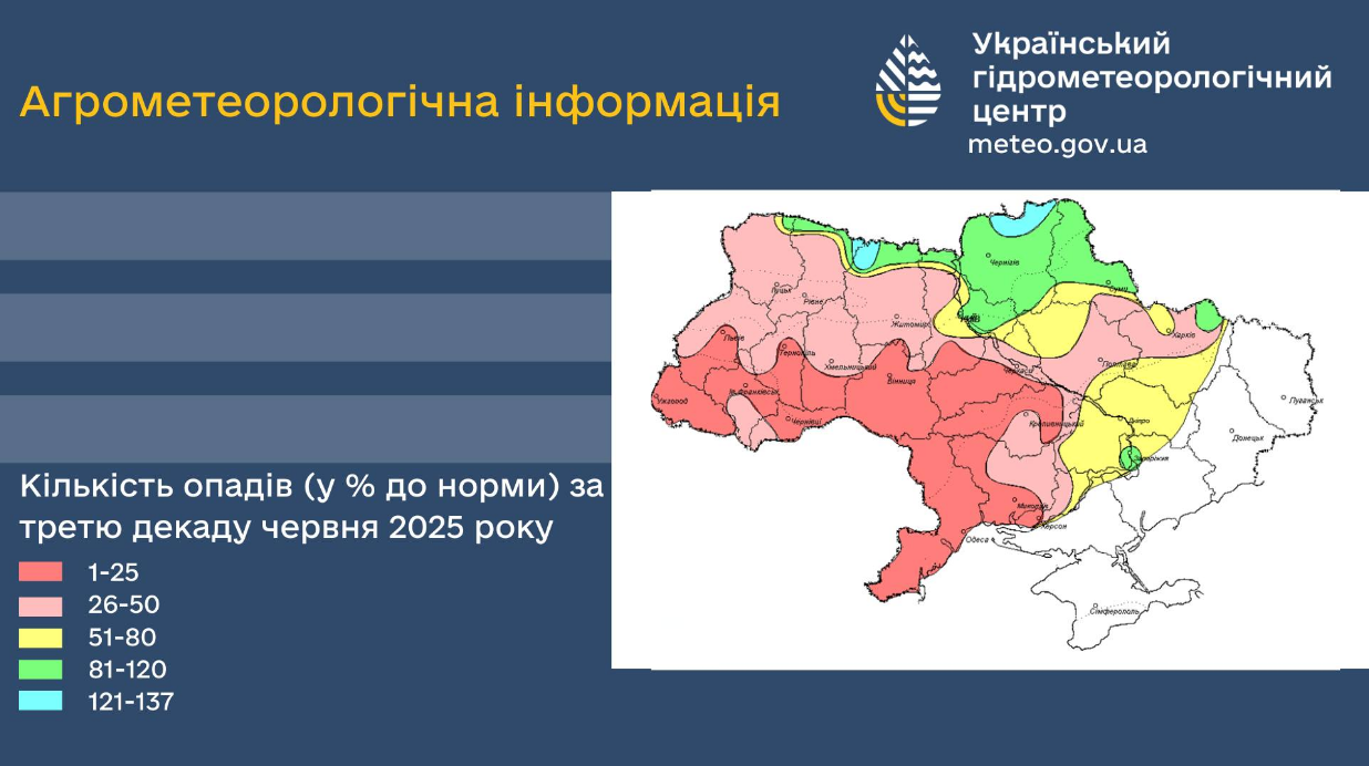 Засуха, шквали і град у червні 2025 вплинули на врожай - які культури постраждали від негоди 2