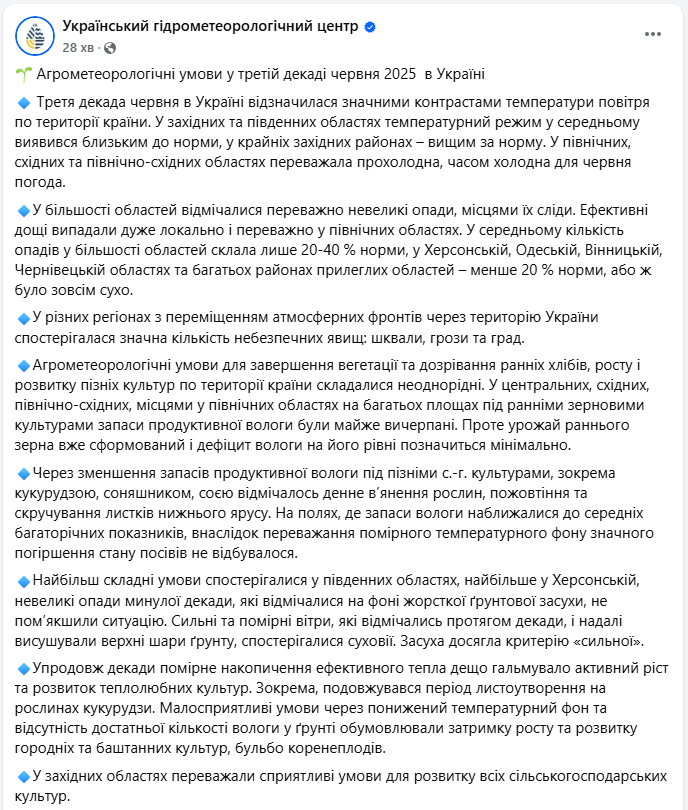 Засуха, шквали і град у червні 2025 вплинули на врожай - які культури постраждали від негоди 3