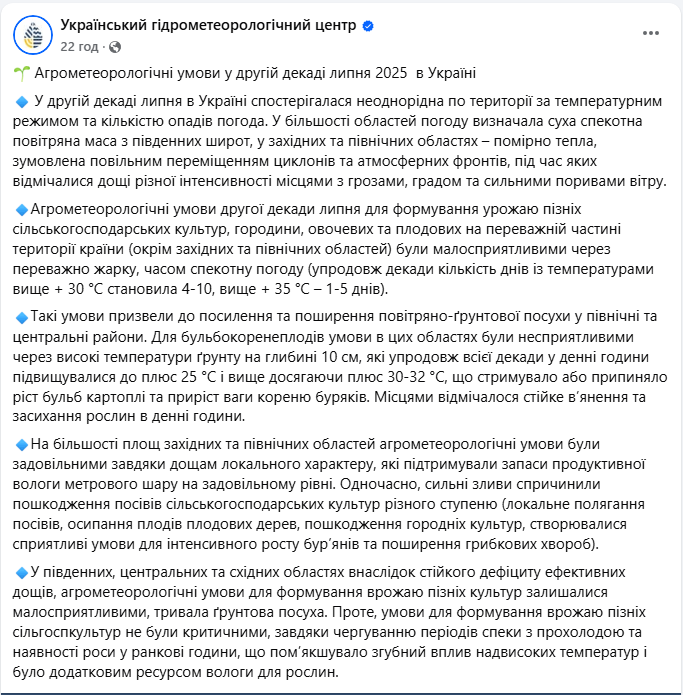Зливи і спека в липні вплинули на рослини і врожай 2025 - які культури постраждали від негоди 3