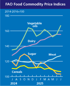Ціни на продукти зросли у світі за липень 2025 року 2